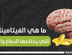  ما هي الفيتامينات التي يحتاجها الدماغ والمخ؟